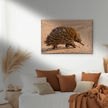 Wild Echidna Australia National Park Wall Art Decor 100% Australian Made