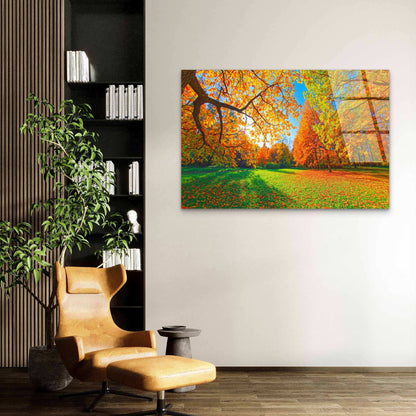 Autumn Forest Golden Leaves Sunny Park  Acrylic Glass Printing Wall Art Australian Made Quality