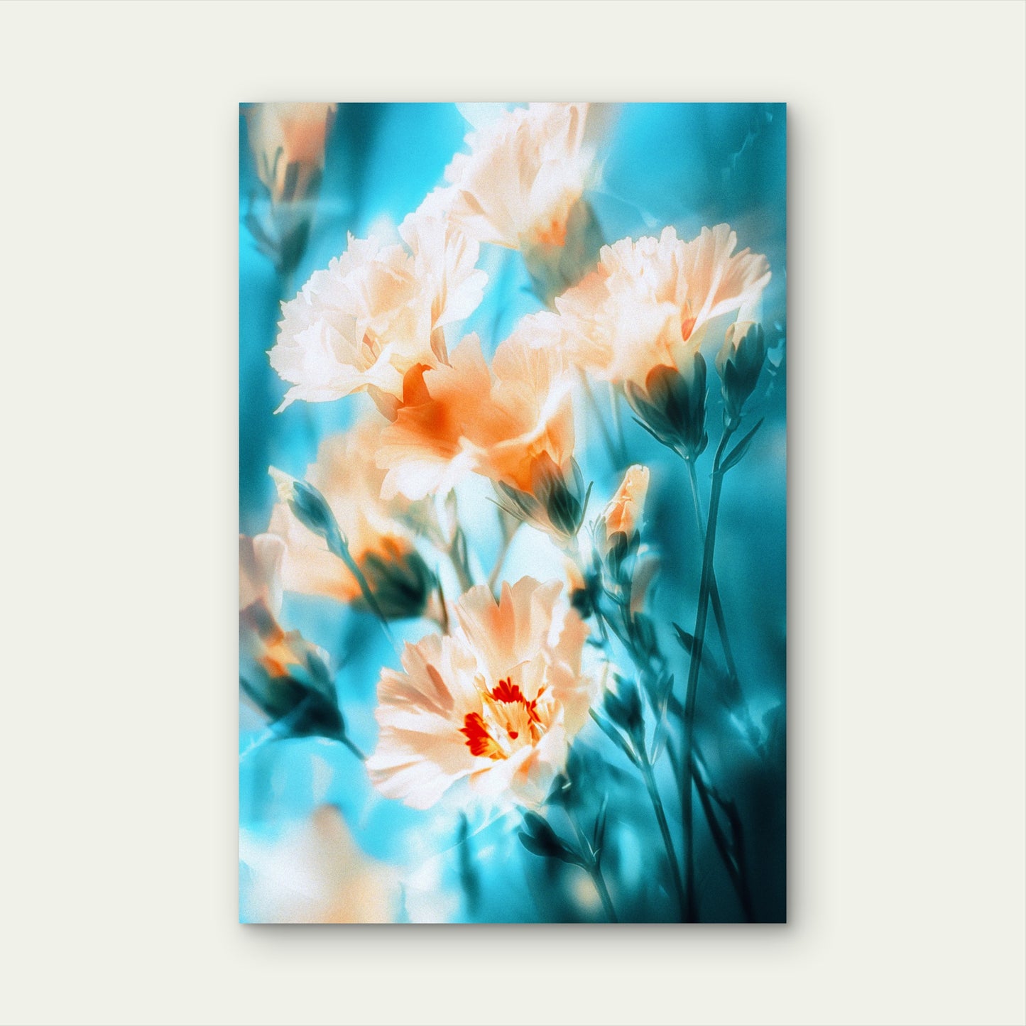Peach Carnations on Dreamy Blue Background 40x60cm Metal Print Ready to Hang