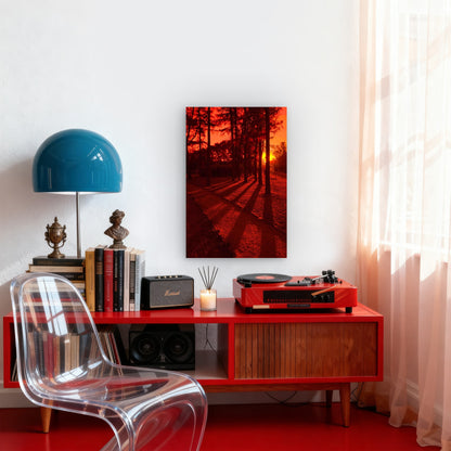 Tree Shadows In Red Sunset 60x90cm Metal Print Ready to Hang