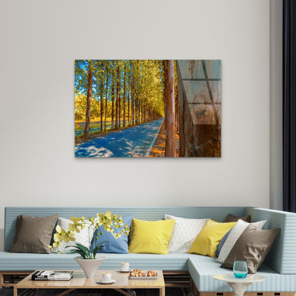 Autumn Karri Forest Road Trees View Glass Printing Wall Art Australian Made