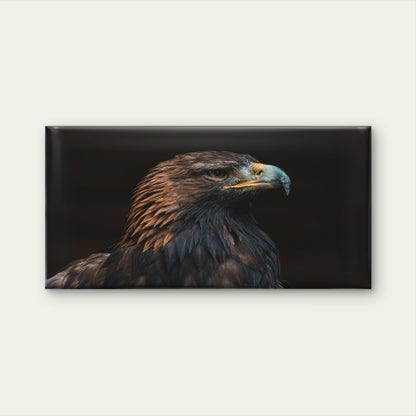 Close Up Portrait Of A Golden Eagle Wall Art Canvas Office Home Room Framed 120x60cm
