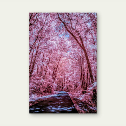 Enchanting Cherry Blossom Tunnel Metal Print Ready to Hang