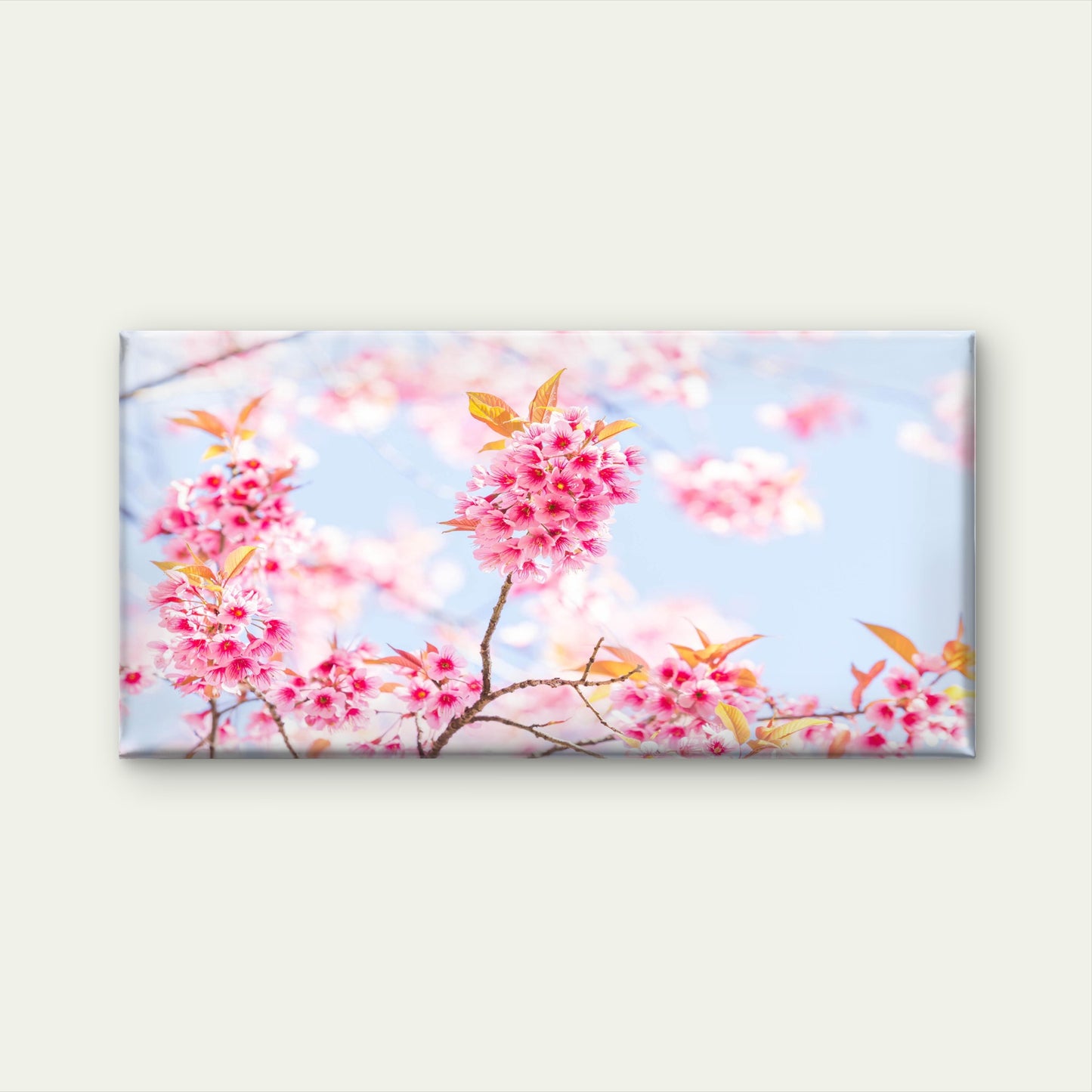 Cherry Blossoms of Japan Wall Art Canvas Office Home Room Framed 120x60cm