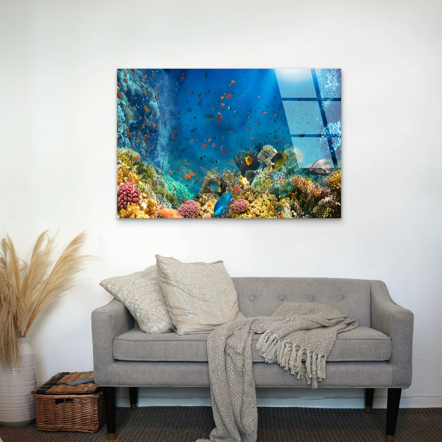 Red Sea Coral Reef Tropical Fish Ocean Acrylic Glass Printing Wall Art Australian Made Quality