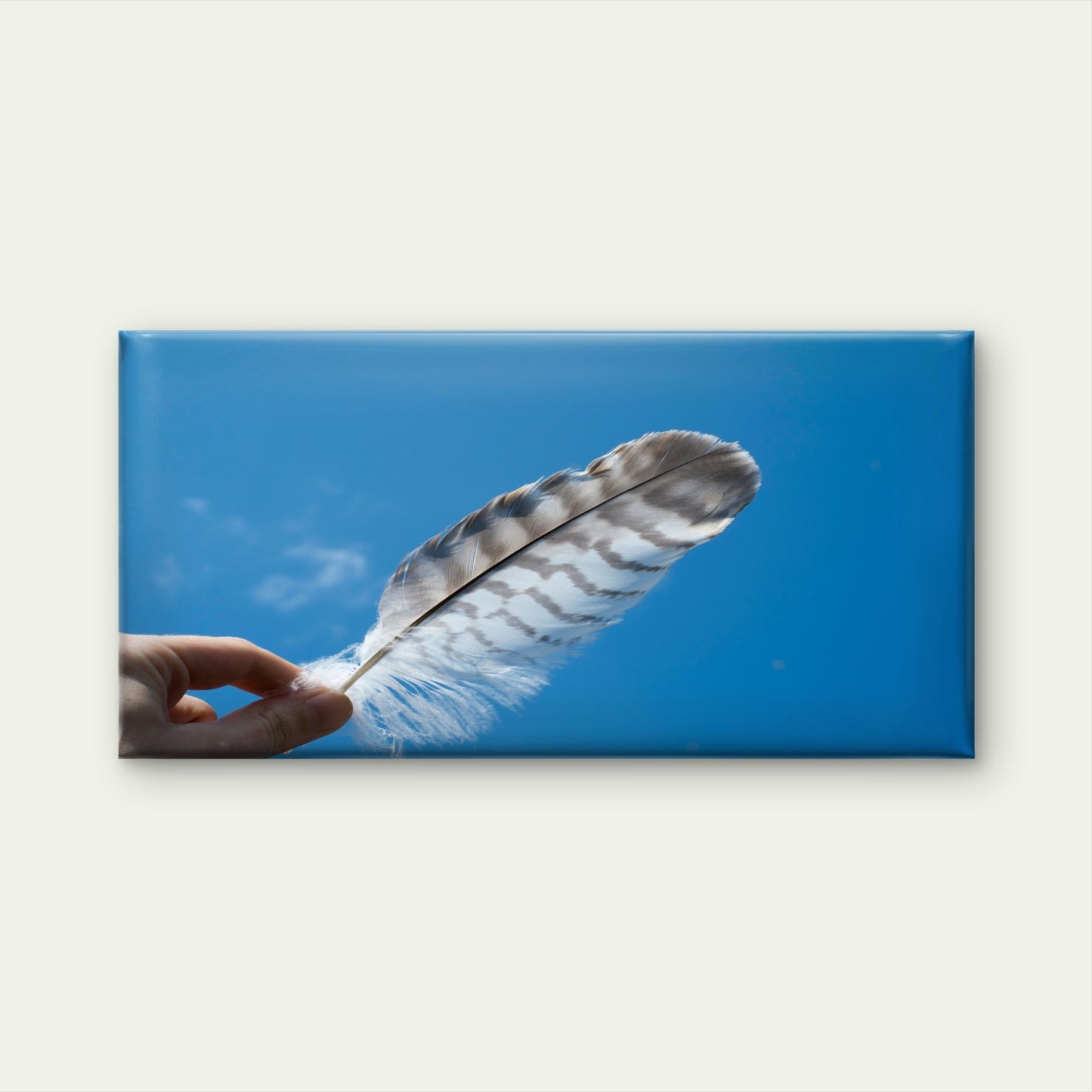 Feather Against Blue Sky Wall Art Canvas Office Home Room Framed 120x60cm