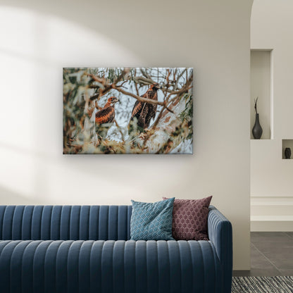 Wedge Tailed Eagle Nest Australia Wall Art Decor 100% Australian Made