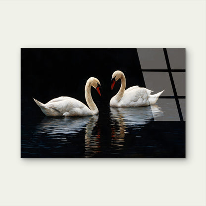 Romantic Mute Swans in Water Acrylic Glass Printing Wall Art Australian Made Quality