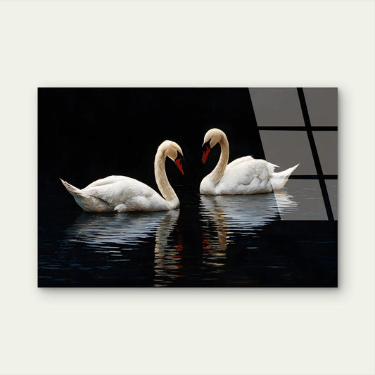 Romantic Mute Swans in Water Acrylic Glass Printing Wall Art Australian Made Quality
