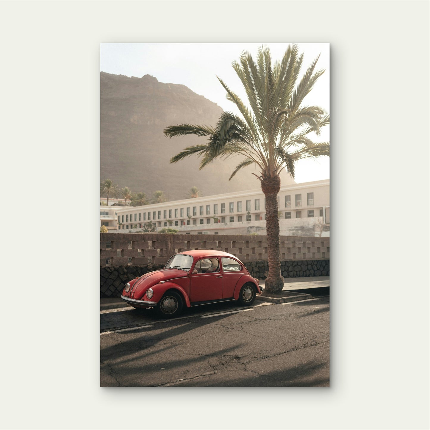 Classic Red Volkswagen Beetle Sits Beside A Tall Palm Tree 60x90cm Metal Print Ready to Hang