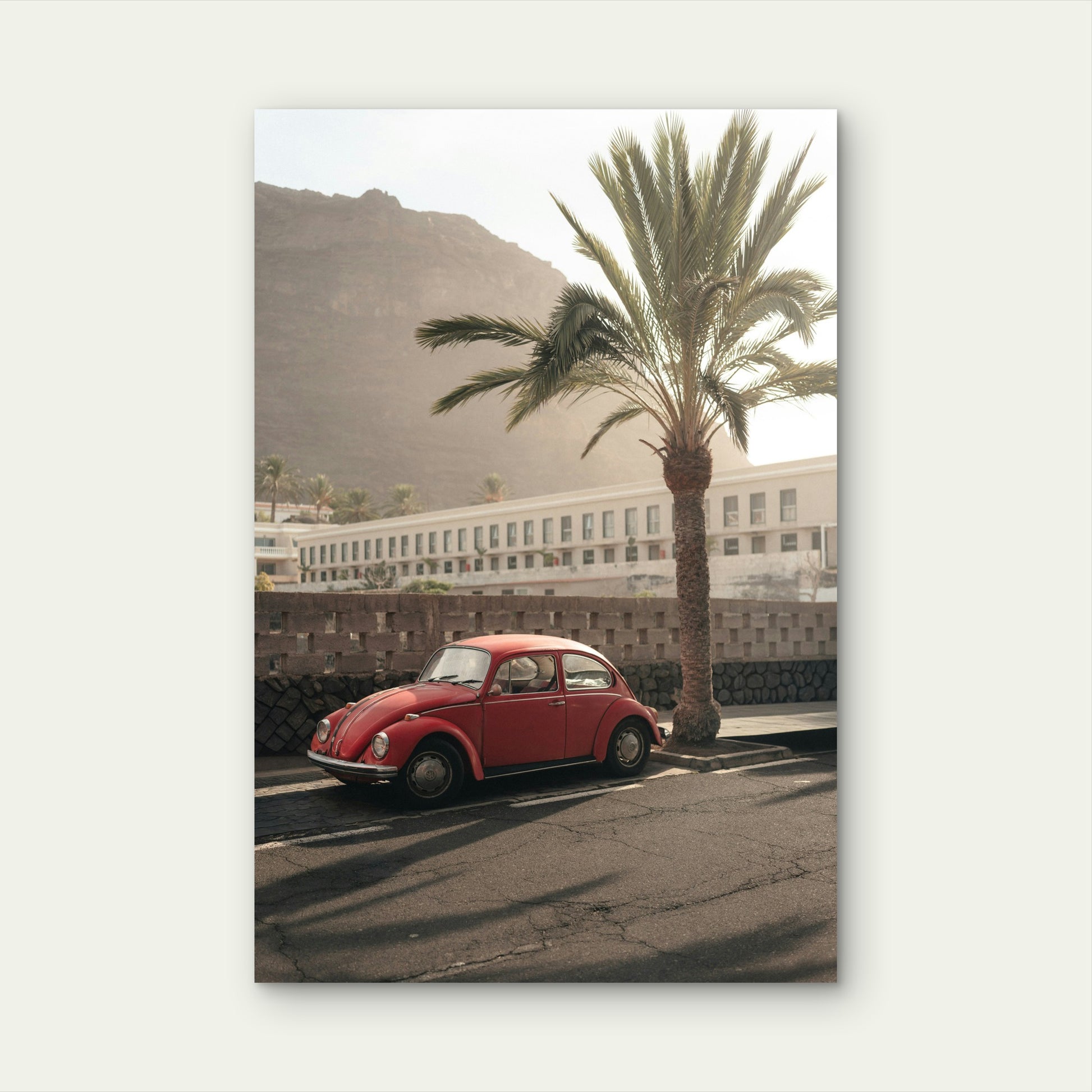 Classic Red Volkswagen Beetle Sits Beside A Tall Palm Tree 60x90cm Metal Print Ready to Hang