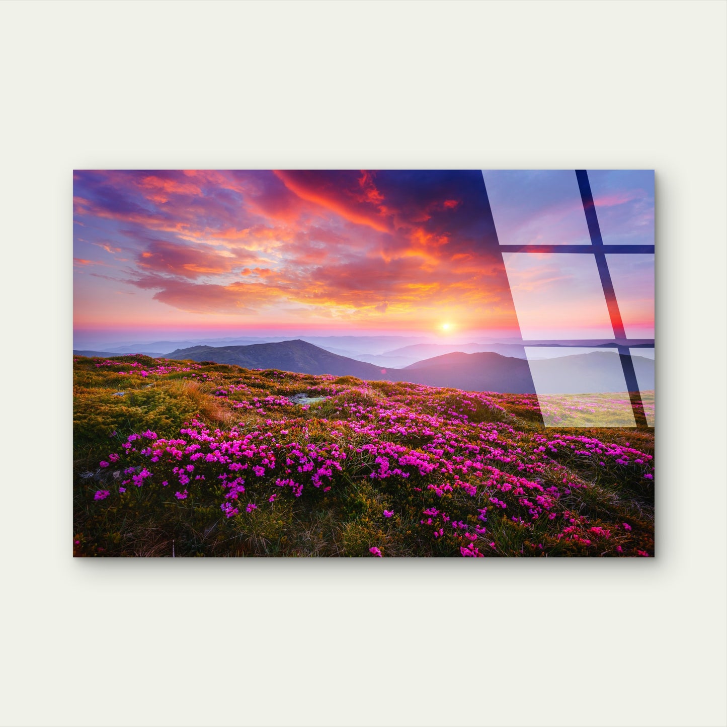 Pink Wildflower Ridge View Glass Printing Wall Art Australian Made Quality