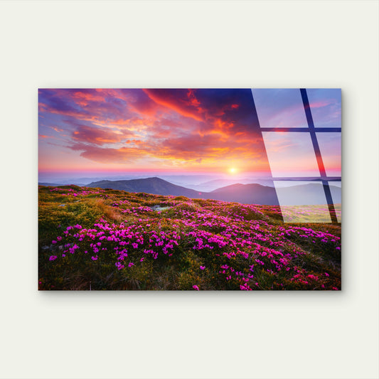 Pink Wildflower Ridge View Glass Printing Wall Art Australian Made Quality