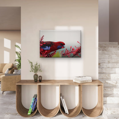 Crimson Rosella South Coast NSW Wall Art Decor 100% Australian Made