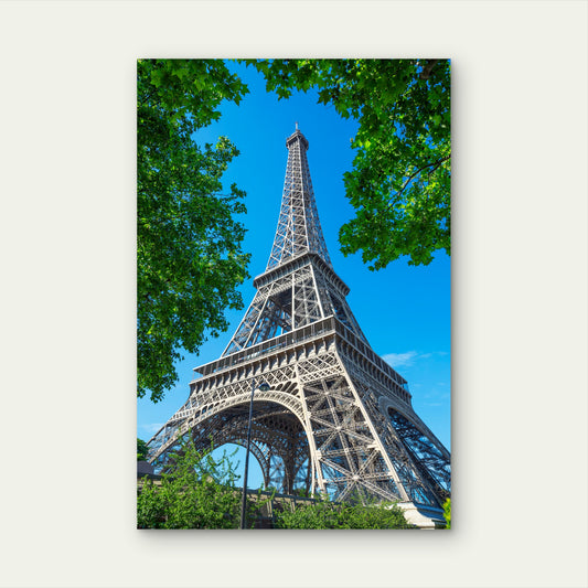View Eiffel Tower Trees Paris 60x90cm Metal Print Ready to Hang