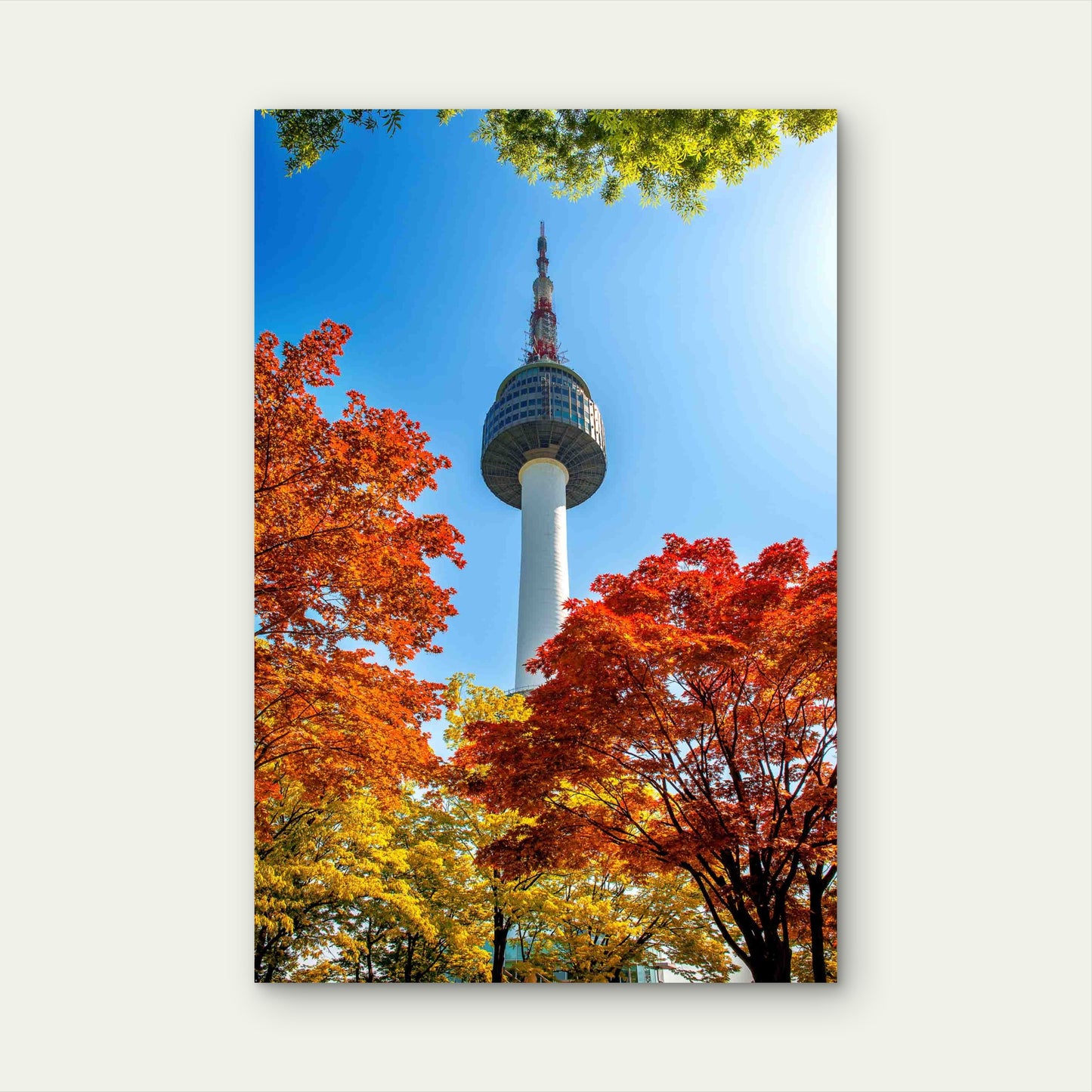 Seoul Tower Red Autumn Maple Leaves 60x90cm Metal Print Ready to Hang - Bella Home Decor
