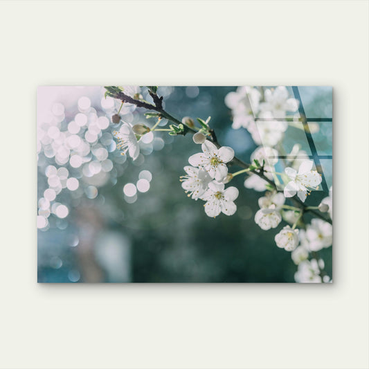 Cherry Blossom Tokyo Japan Glass Printing Wall Art Australian Made Quality