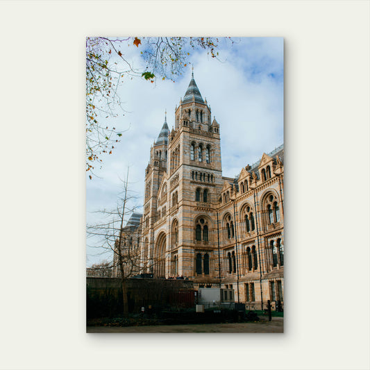 Natural History Museum In London 60x90cm Metal Print Ready to Hang