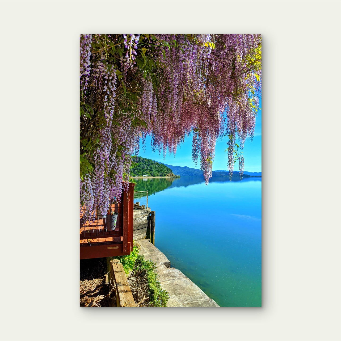 Austria Portschach Worthersee Lake Purple 40x60cm Metal Print Ready to Hang