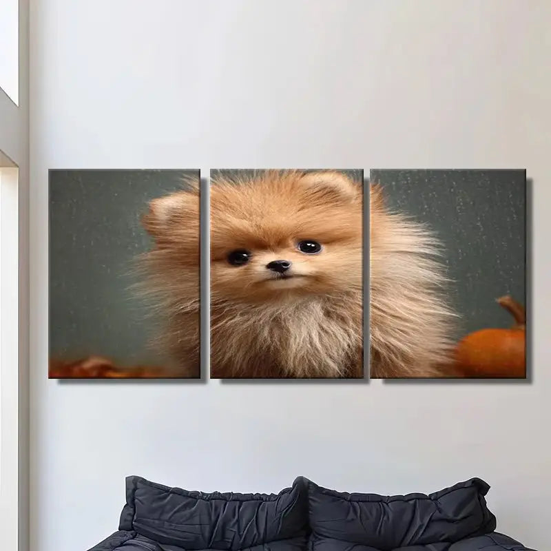 3pcs Cute Pomeranian Puppy With Fluffy Fur Metal Print Ready to Hang Art - Bella Home Decor