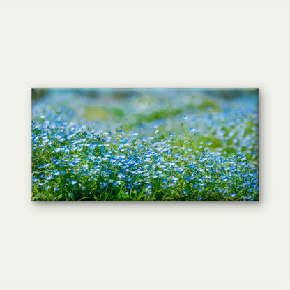 Field Of Baby Blue Eyes Wall Art Canvas Office Home Room Framed 120x60cm