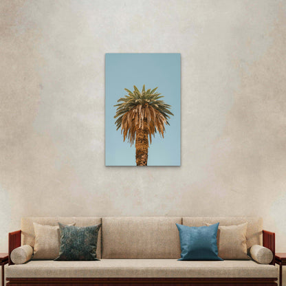 Tall Palm Tree Against Clear Blue Sky 40x60cm Metal Print Ready to Hang