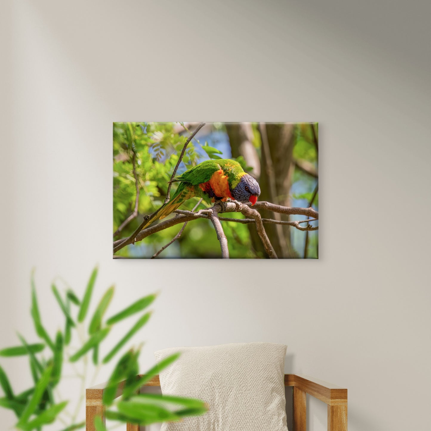 Vital Active Pollinator Rainbow Lorikeet Intact Forest Canopy Australia Wall Art Decor 100% Australian Made