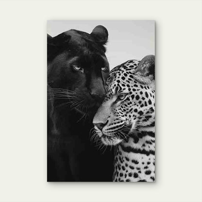 Featuring Black Panther And Leopard 60x90cm Metal Print Ready to Hang