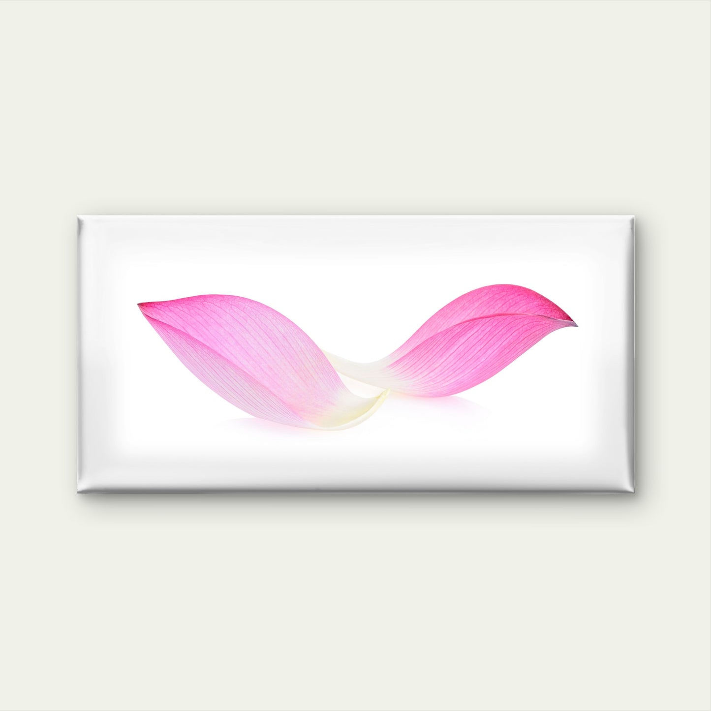 Pink Lotus Petals Floating Wall Art Canvas Office Home Room Framed 120x60cm