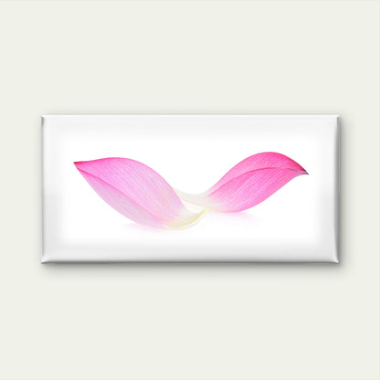 Pink Lotus Petals Floating Wall Art Canvas Office Home Room Framed 120x60cm