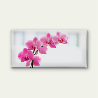 Graceful Pink Orchid Bloom Wall Art Canvas Office Home Room Framed 120x60cm