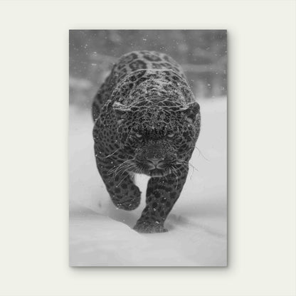 Black and White Jaguar in Nature Metal Print Ready to Hang