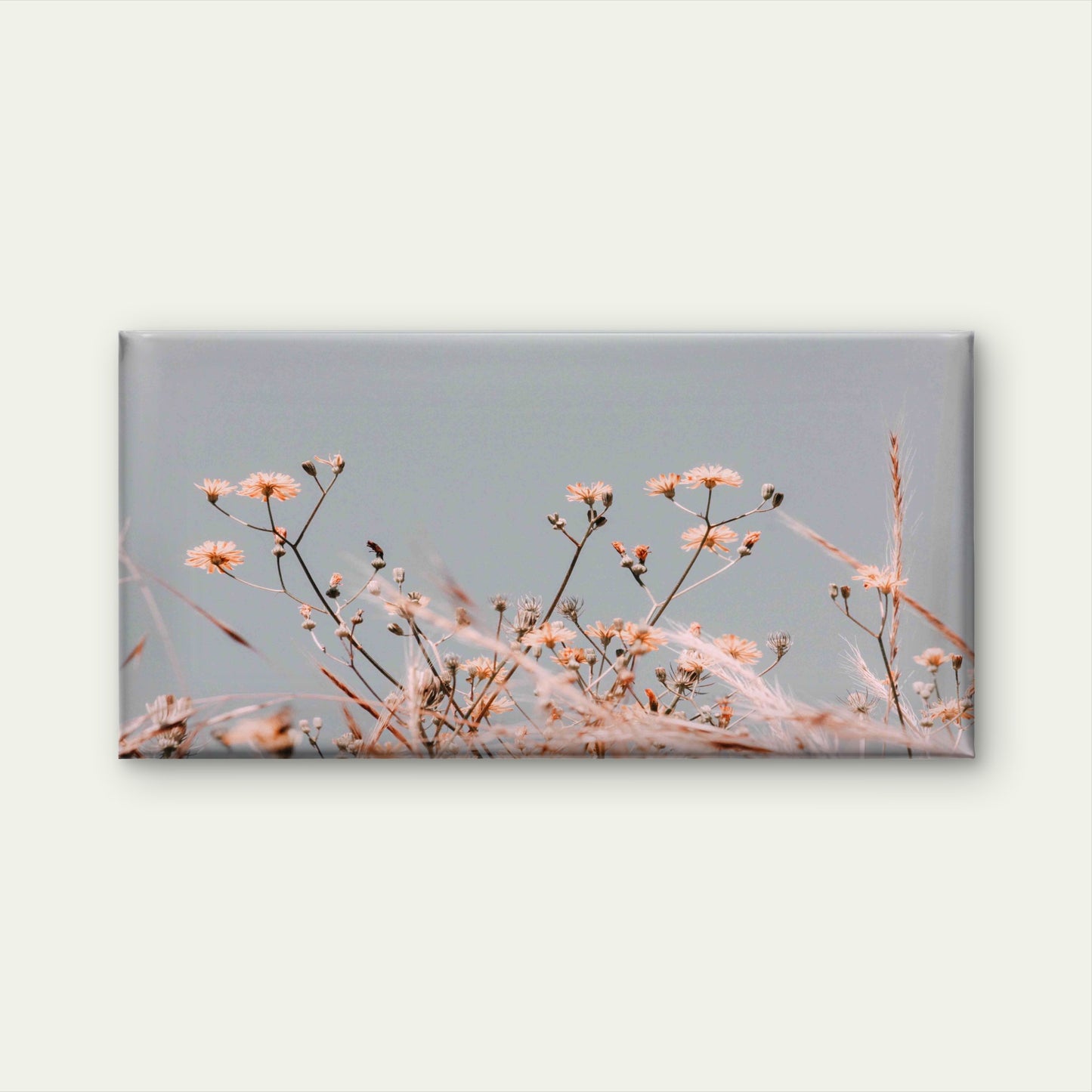 Withered Flower in Close Up Wall Art Canvas Office Home Room Framed 120x60cm