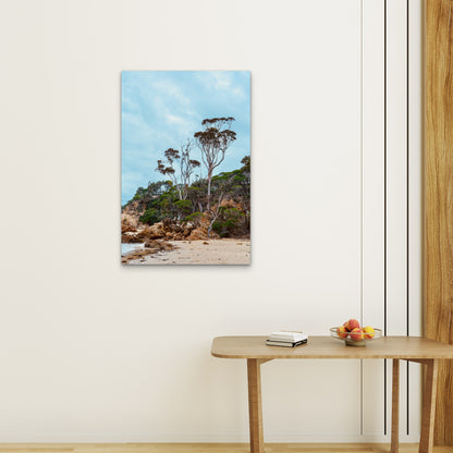 Coastal Landscape Featuring Several Karri Trees 60x90cm Metal Print Ready to Hang