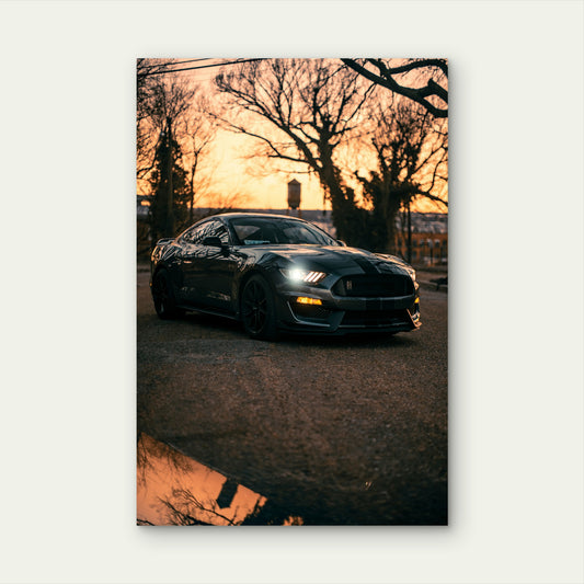 Ford Mustang Shelby GT350 Coupe Car Sunset 40x60cm Metal Print Ready to Hang