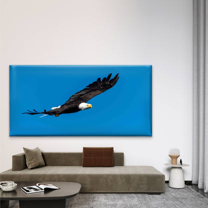 Shot of a Flying Bald Eagle Wall Art Canvas Office Home Room Framed 120x60cm