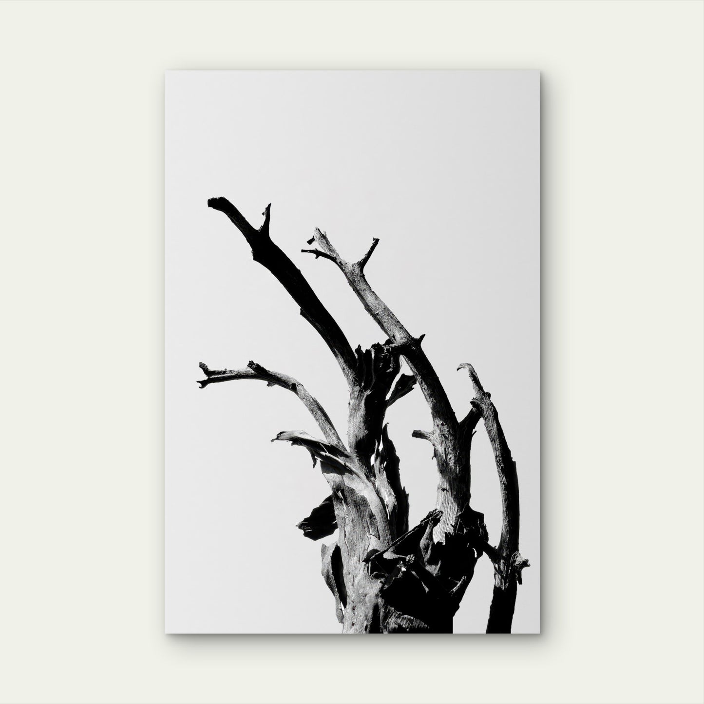 Minimalist Black White Dead Tree Branch 40x60cm Metal Print Ready to Hang