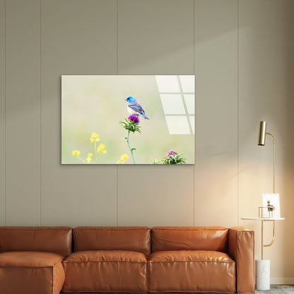 Lazuli Bunting Blue Bird Acrylic Glass Printing Wall Art Australian Made Quality