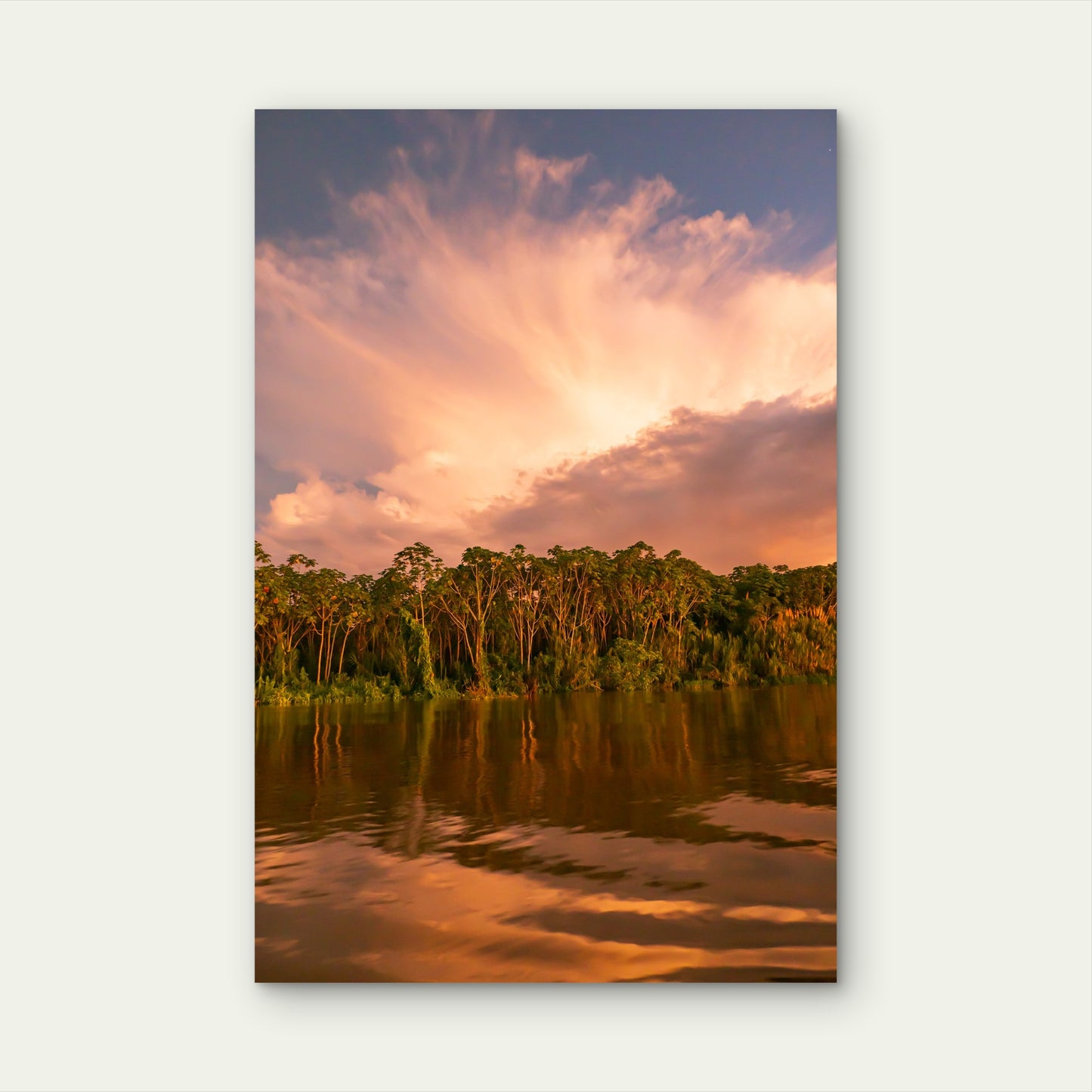 Amazon Rainforest River Sunset Vista 40x60cm Metal Print Ready to Hang