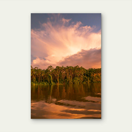 Amazon Rainforest River Sunset Vista 40x60cm Metal Print Ready to Hang