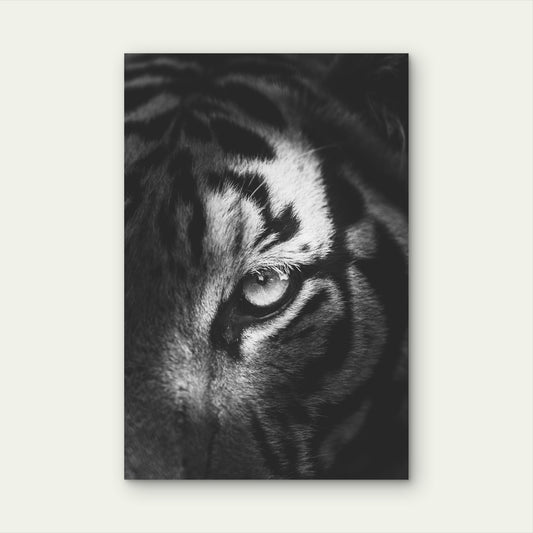 The Intense Eye Of A Tiger 60x90cm Metal Print Ready to Hang
