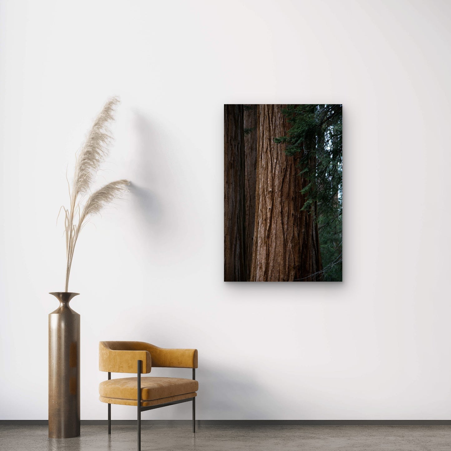 Giant Sequoia with Reddish-Brown Bark 40x60cm Metal Print Ready to Hang