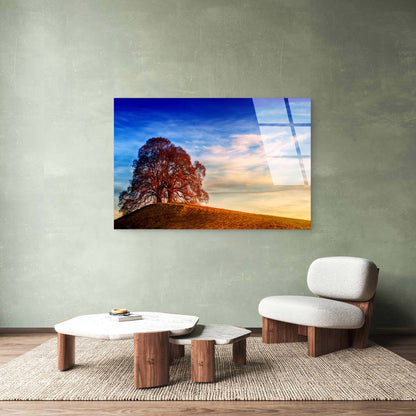 Autumn Tree Hill Countryside Acrylic  Glass Printing Wall Art Australian Made Quality