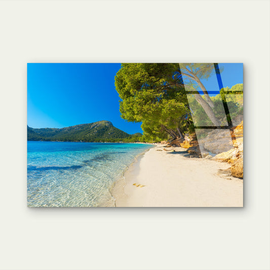 Sandy Coast Turquoise Sea Tree View Acrylic Glass Printing Wall Art Australian Made Quality