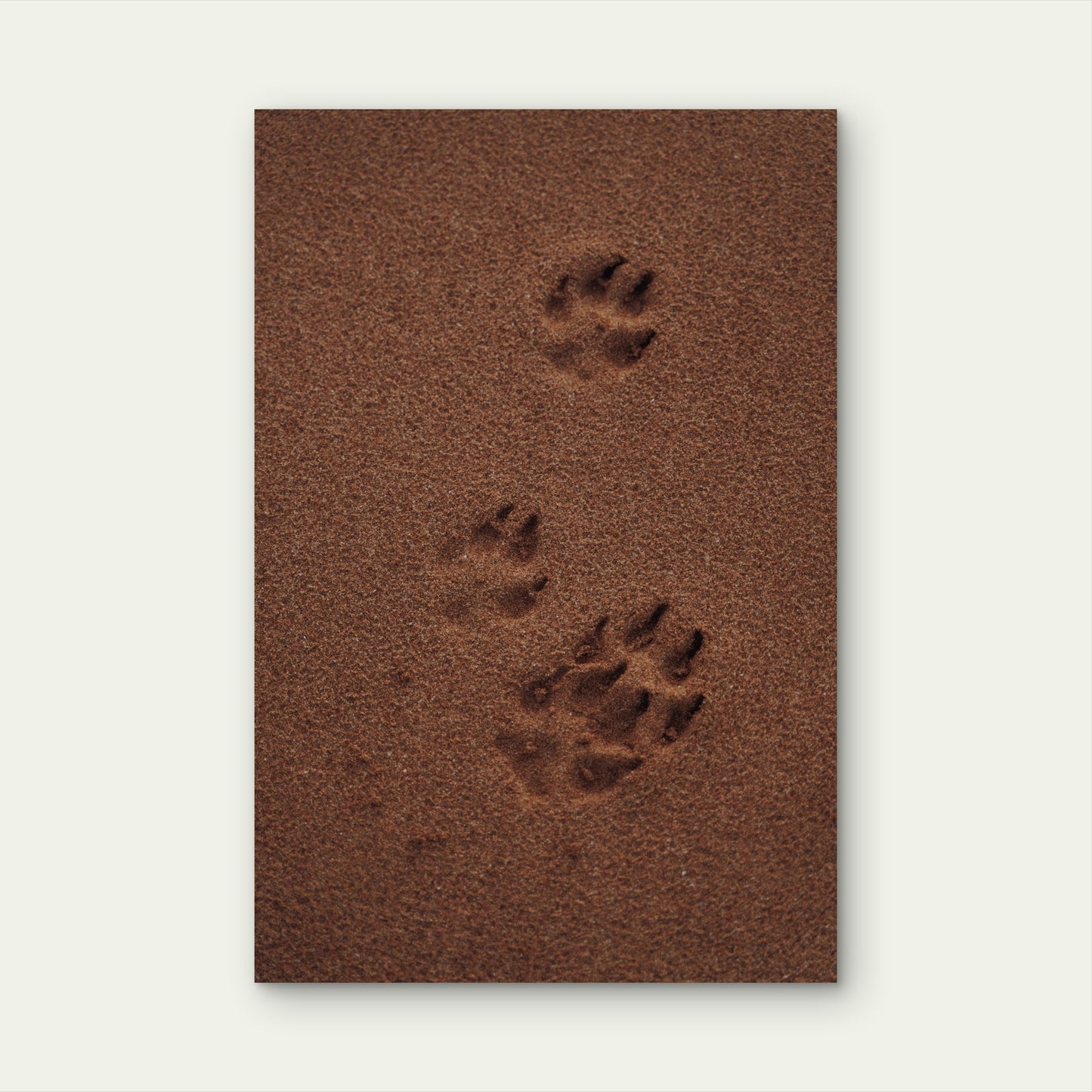 Animal Paws illustration 40x60cm Metal Print Ready to Hang