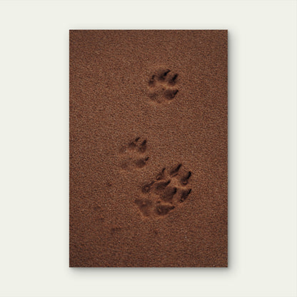 Animal Paws illustration 40x60cm Metal Print Ready to Hang