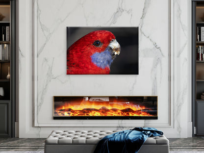 Crimson Rosella Canberra ACT Wall Art Decor 100% Australian Made