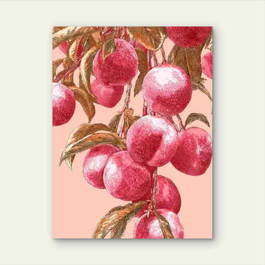 Peach Illustration,Botanical Artwork 60x90cm Metal Print Ready to Hang