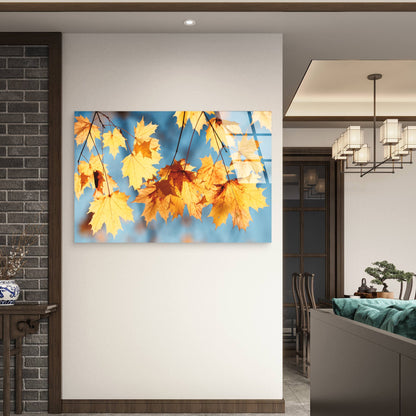 Autumn Golden Leaf Blue Sky Acrylic  Glass Printing Wall Art Australian Made Quality
