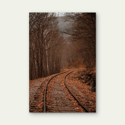 Railway Tracks Curving Through a Forest in Autumn 40x60cm Metal Print Ready to Hang